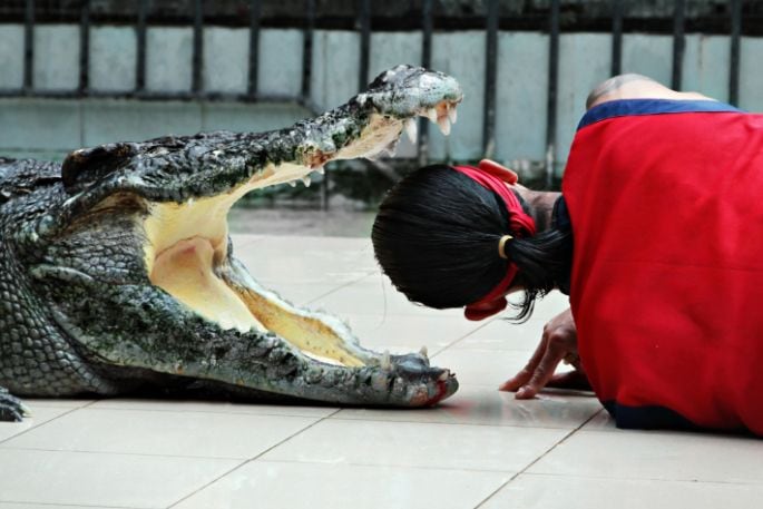 phuket_phuket_zoo_2