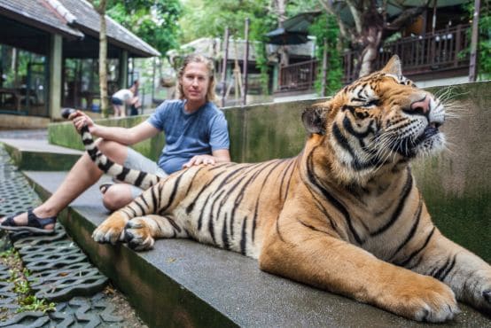 phuket_tiger_kingdom_4