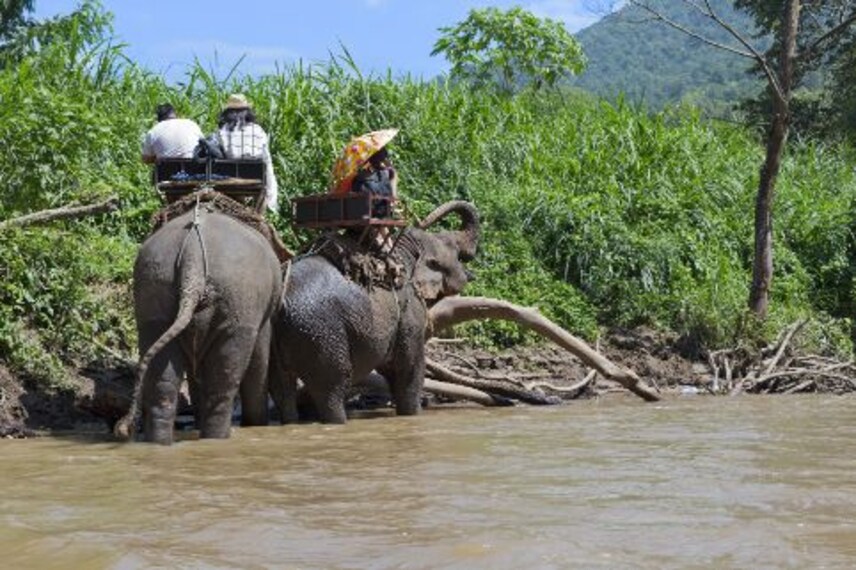 phuket_elephant_trekking_3