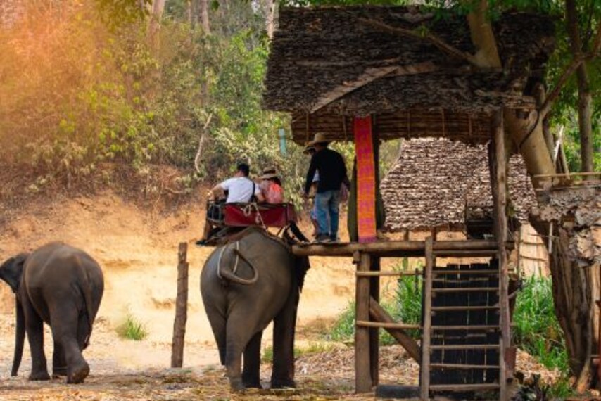 phuket_elephant_trekking_5