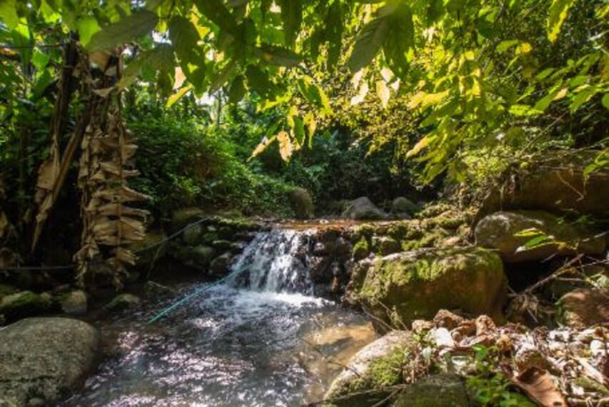 phuket_kathu_waterfall_6