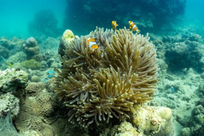 phuket_phuket_aquarium_3
