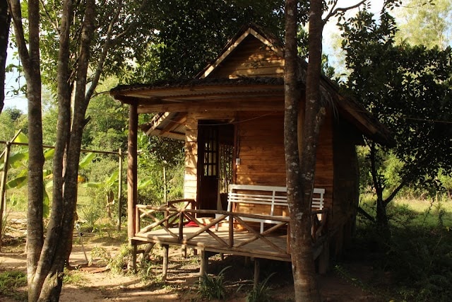 Pepper_Farms_in_Phu_Quoc_4