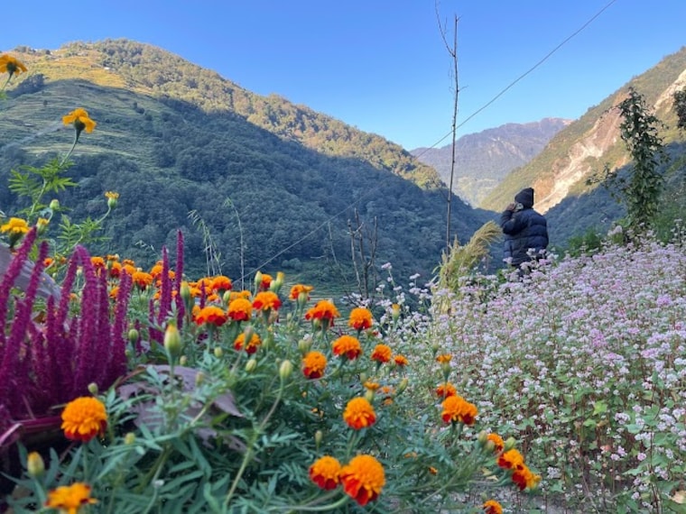 Annapurna_Circuit_4