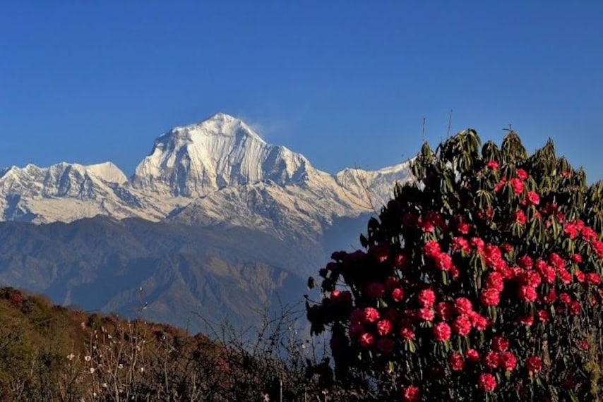 Ghorepani_Hill_3