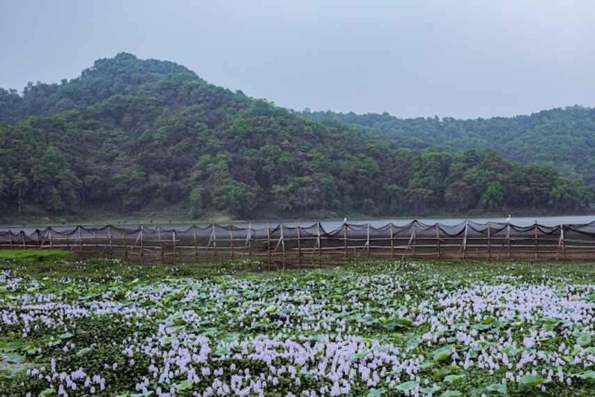 Rupa_Lake_3