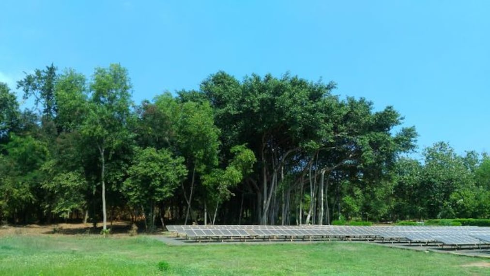 Auroville_5