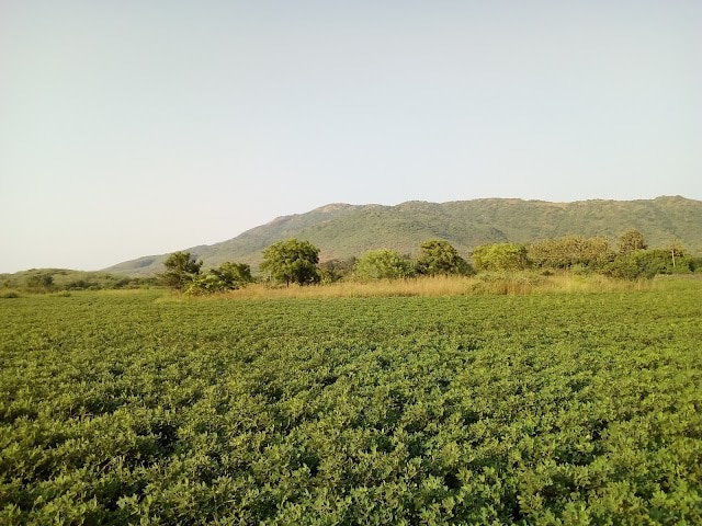Barda_Hills_Wildlife_Sanctuary_2