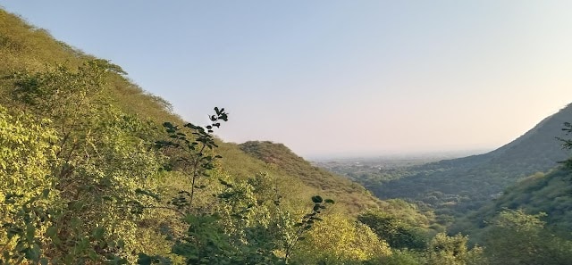 Barda_Hills_Wildlife_Sanctuary_3