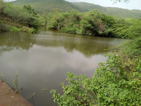 Barda Hills Wildlife Sanctuary