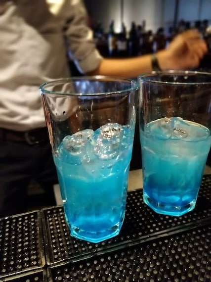 Pune Bluefrog Portrait Image