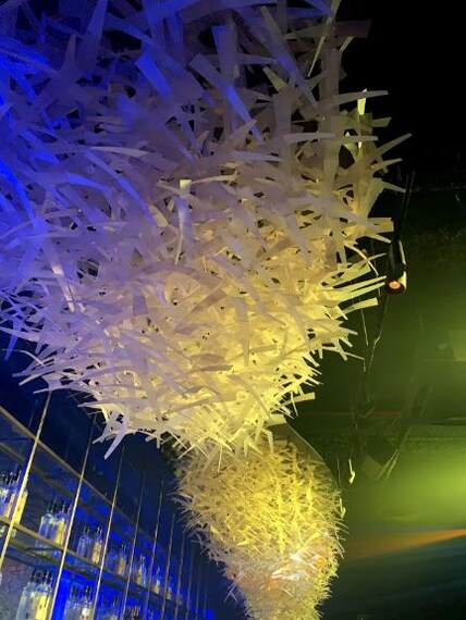 mi A Mi Portrait Image