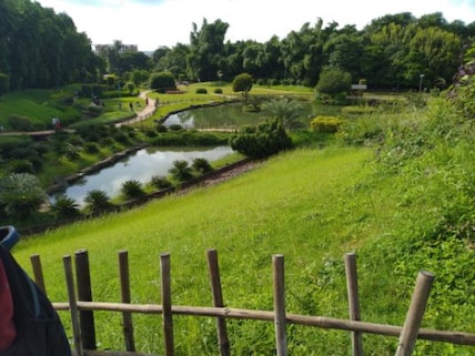Take a stroll in the iconic Okayama Friendship Garden