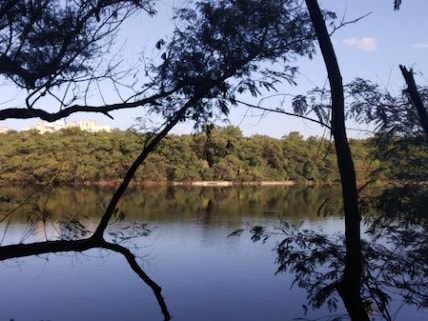 Visit the Famous Rajiv Gandhi Zoological Park