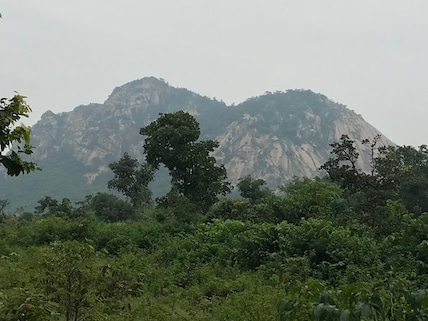 Ajodhya Forest Reserve