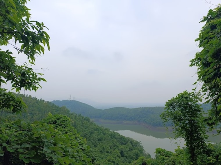 Ajodhya_Forest_Reserve_2