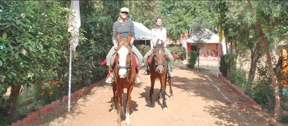Pushkar Horse Riding At Pushkar Fair Landscape Image