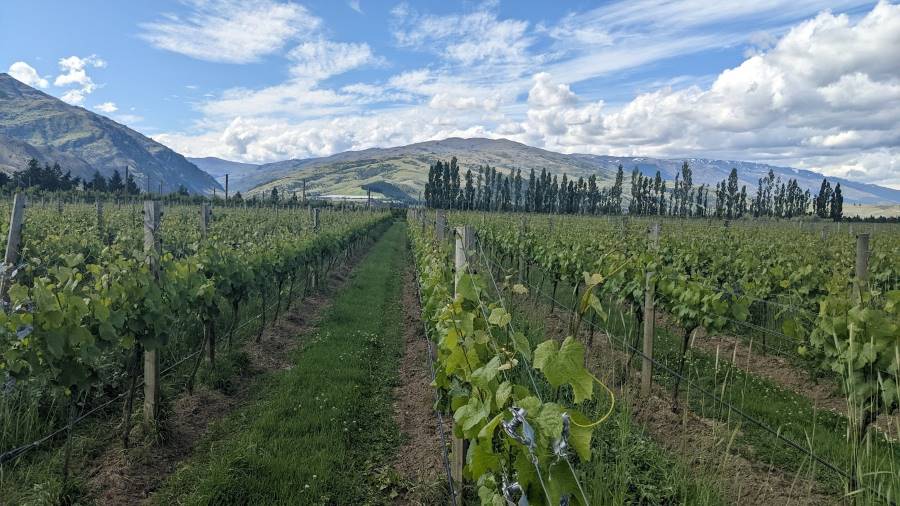 Queenstown_Te_Kano_Estate_7
