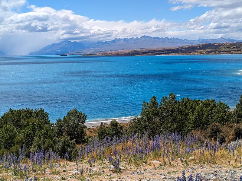 Queenstown_Trail_3