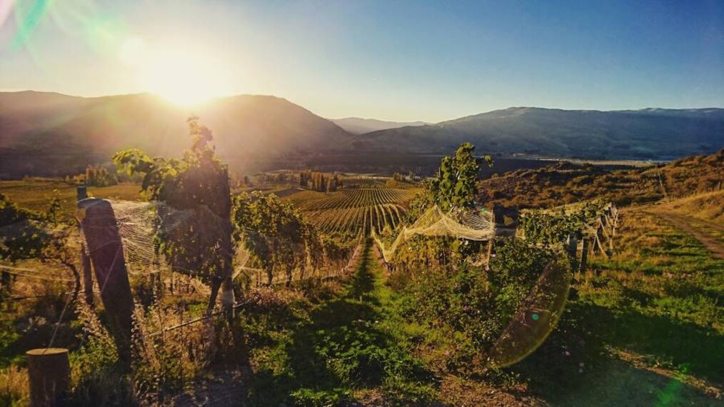 Queenstown_Akarua_Winery_&_Cellar_Door_6