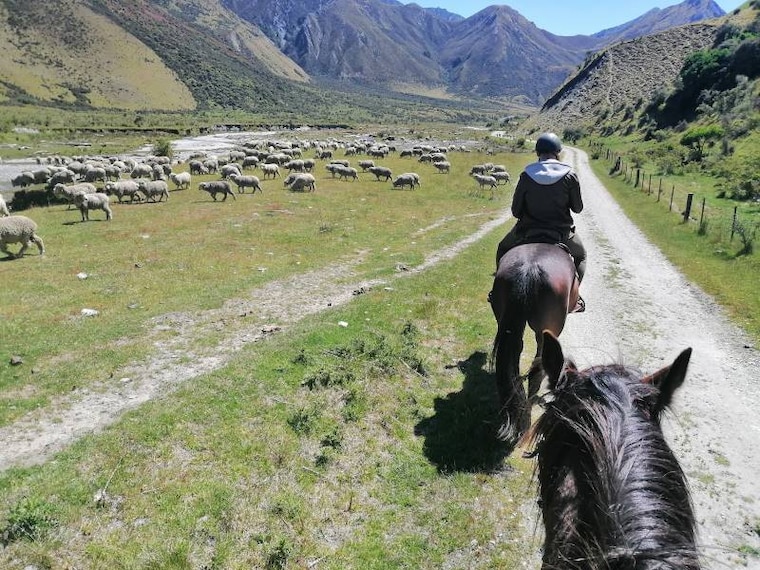Queenstown_Ben_Lomond_Track_10