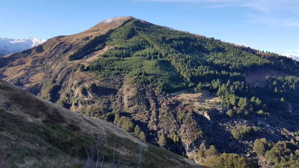 Queenstown_Ben_Lomond_Track_7