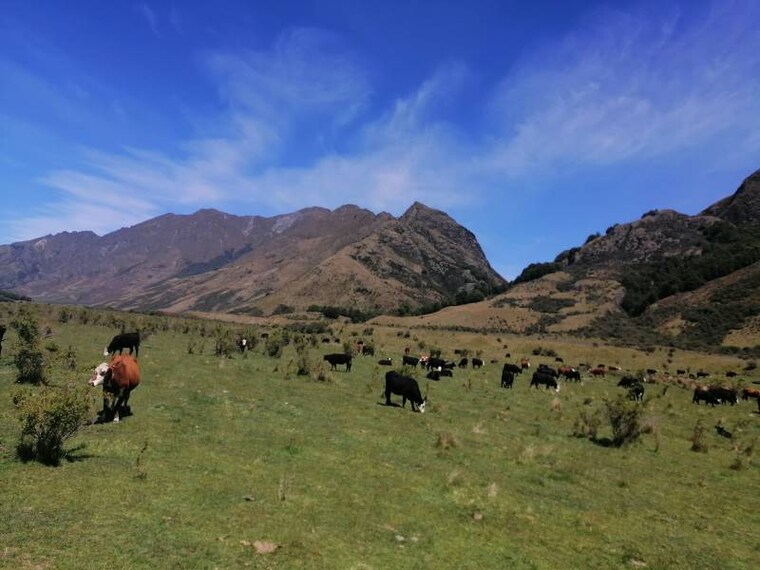 Queenstown_Ben_Lomond_Track_9