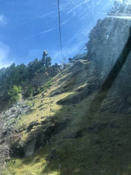 Queenstown_Bike_Park_6