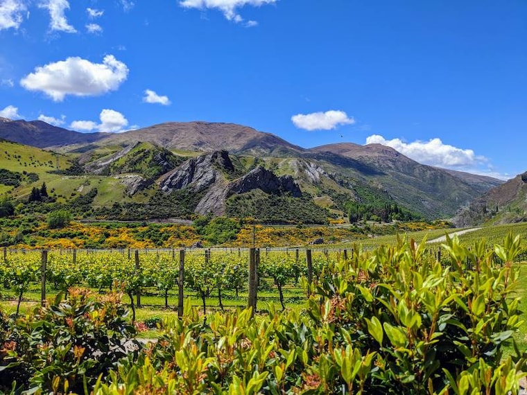 Queenstown_Chard_Farm_2