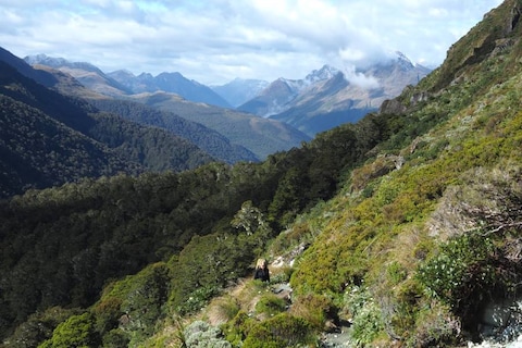 Routeburn Track
