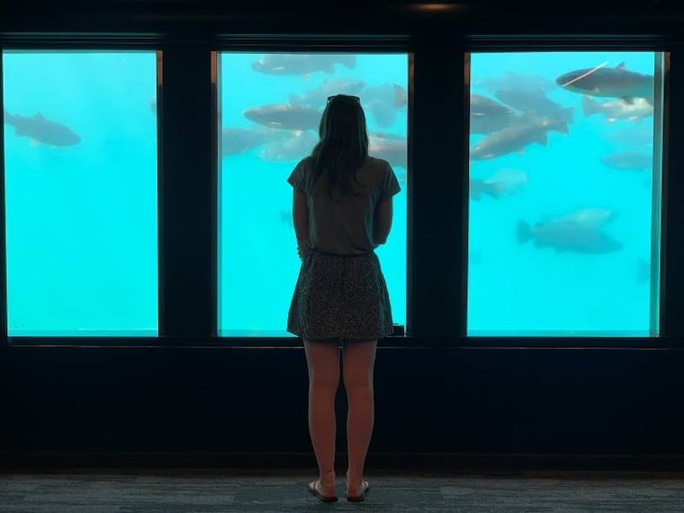 Queenstown_Time_Tripper_Queenstown_3