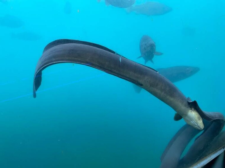 Queenstown_Time_Tripper_Queenstown_5