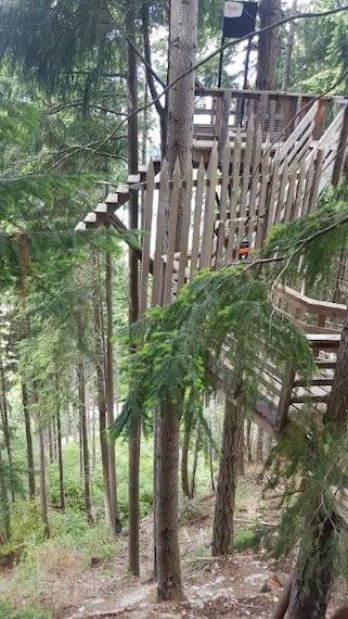 Queenstown_Ziptrek_Ecotours_4