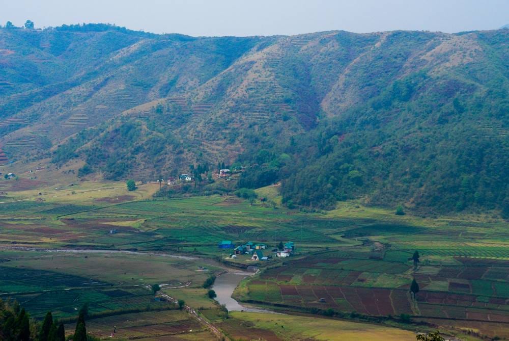 Mawphlang_Sacred_Forest_Meghalaya_4