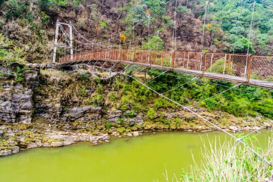Mawphlang_Sacred_Forest_Meghalaya_5
