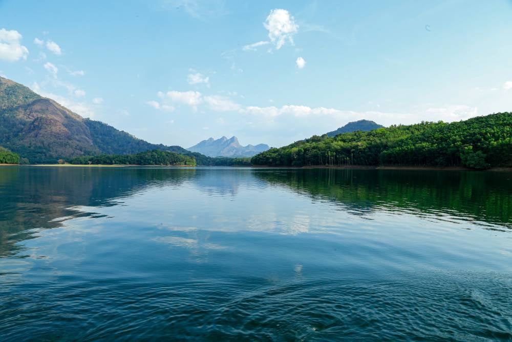 Shendurney_Wildlife_Sanctuary_Kollam_1