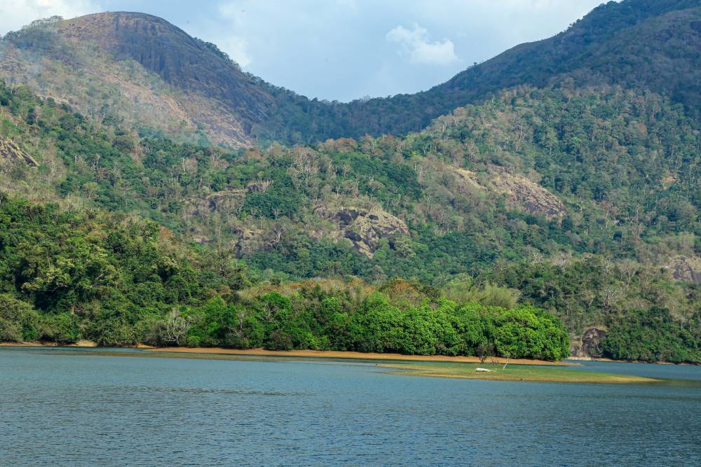 Shendurney_Wildlife_Sanctuary_Kollam_2