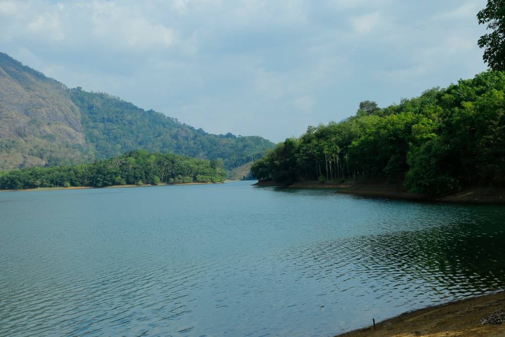 Shendurney_Wildlife_Sanctuary_Kollam_4