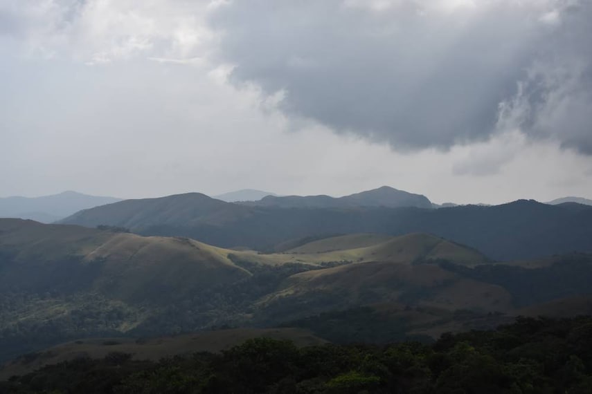 Agumbe_Rainforest_Karnataka_2