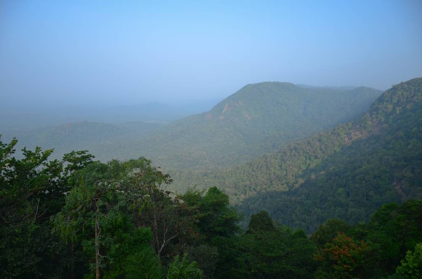 Agumbe_Rainforest_Karnataka_3