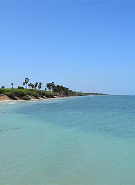 Rameshwaram Villoondi Theertham Beach Portrait Image