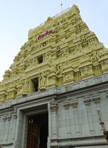 Rameshwaram Ramanathaswamy Temple Portrait Image