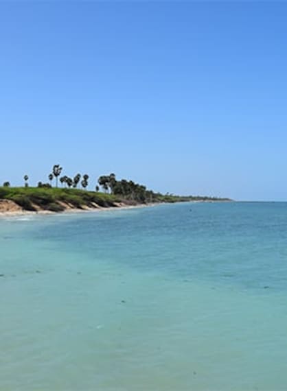 Rameshwaram Villoondi Theertham Beach Portrait Image