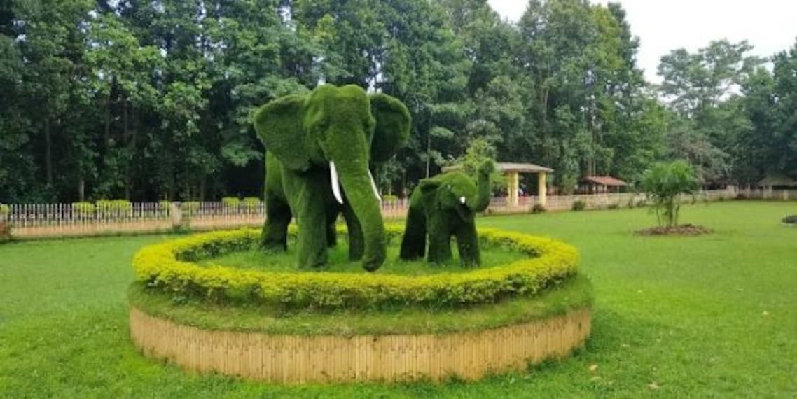 ranchi_birsa_zoological_park