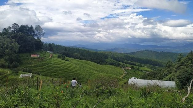 ranikhet_chaubatia_orchard_treks