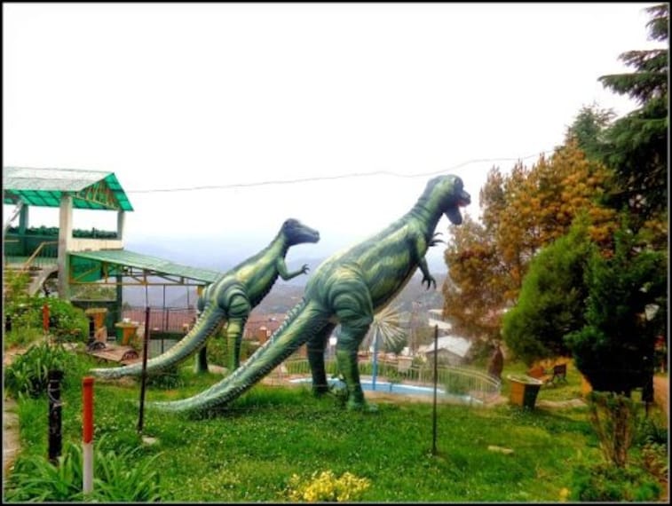 ranikhet_ashiyana_park