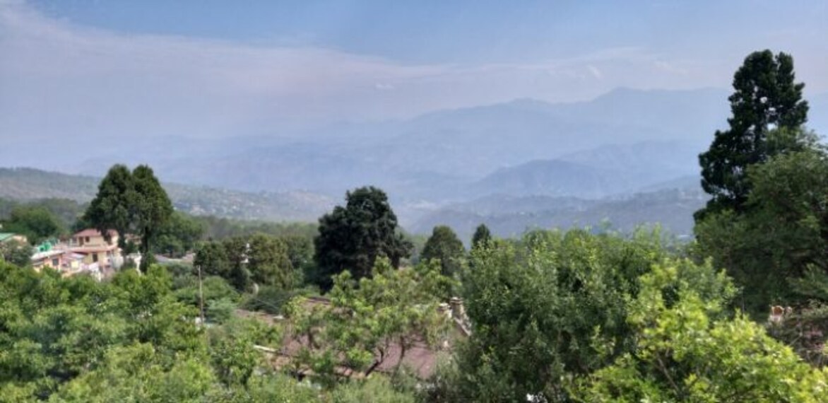 ranikhet_chaubatia_garden