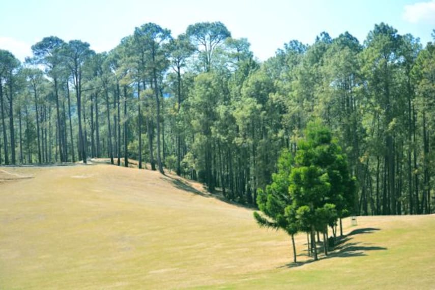 ranikhet_upat_golf_course
