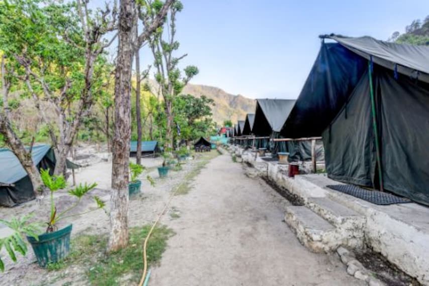 Camp TreePie | Rishikesh - What to Expect | Timings | Tips - Trip Ideas ...