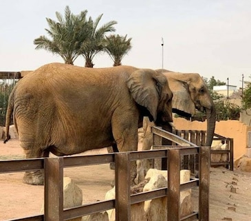 Riyadh Zoo